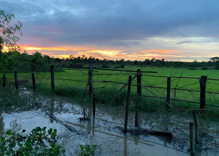 Farmstay