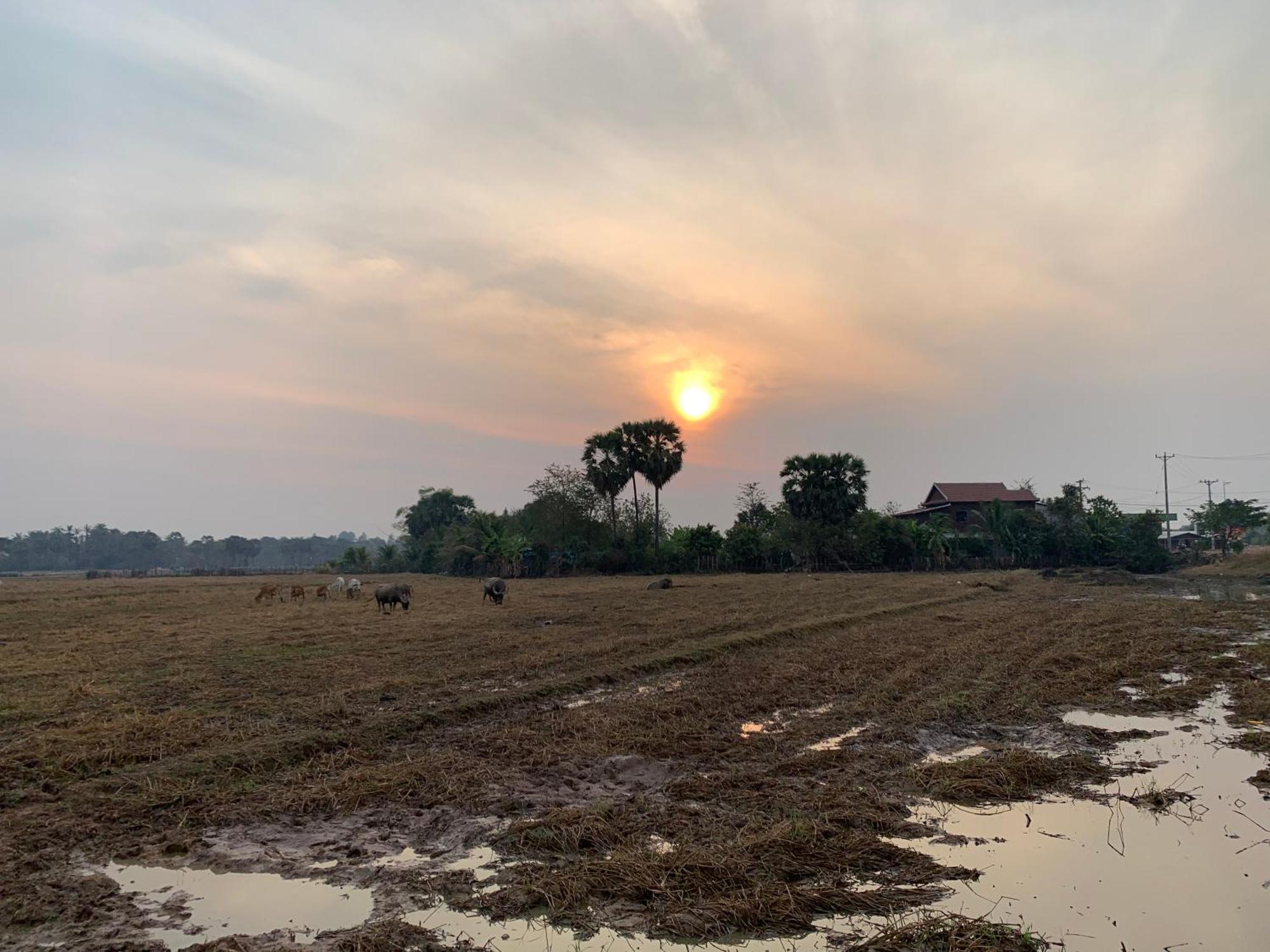 Holiday home Farmstay